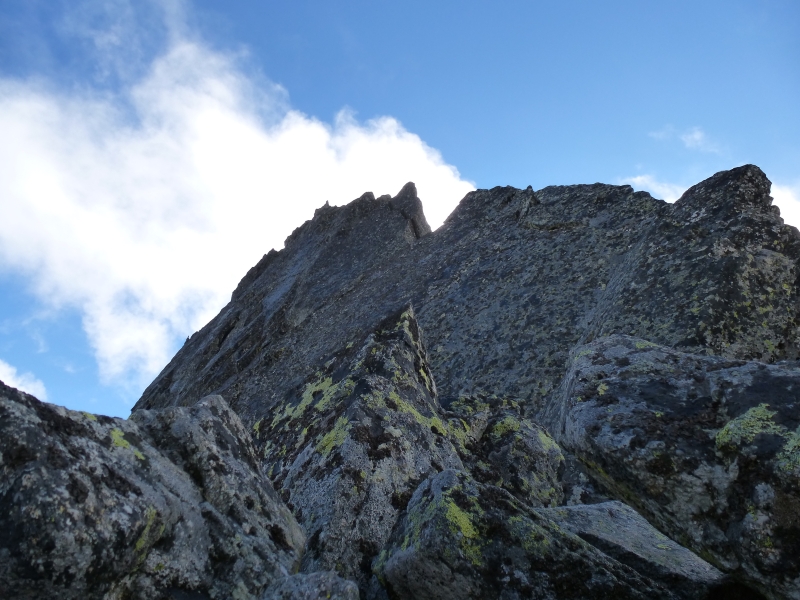 www.mountain-guide.sk Kuna Palo horsky vodca